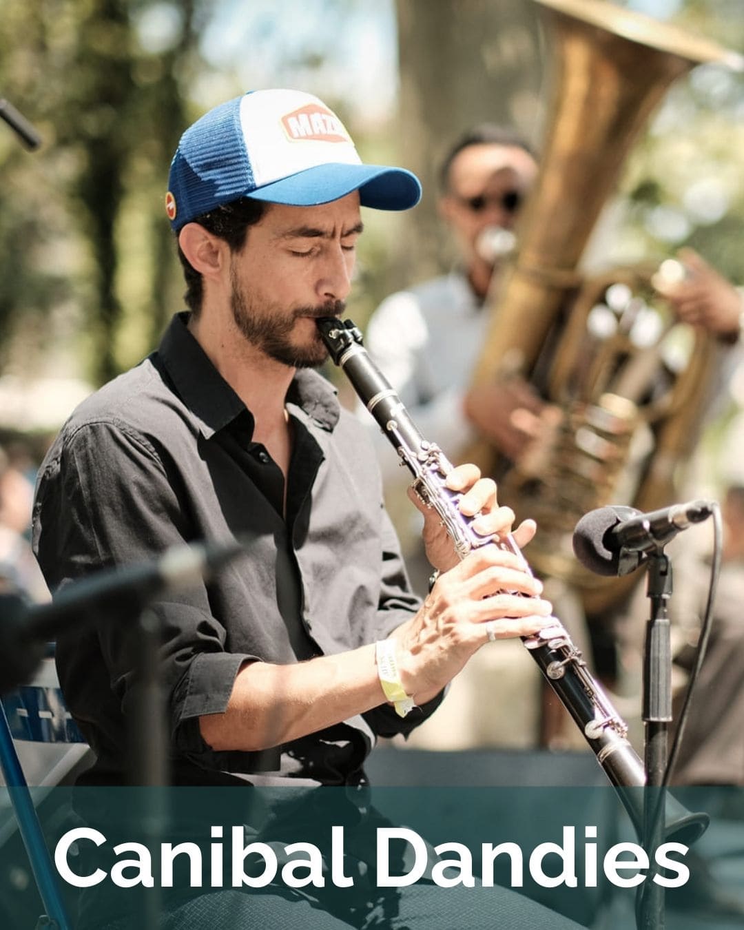 carolina reapers swing en concert live le samedi 19 et dimanche 20 juillet 2025 festival swinging montpellier